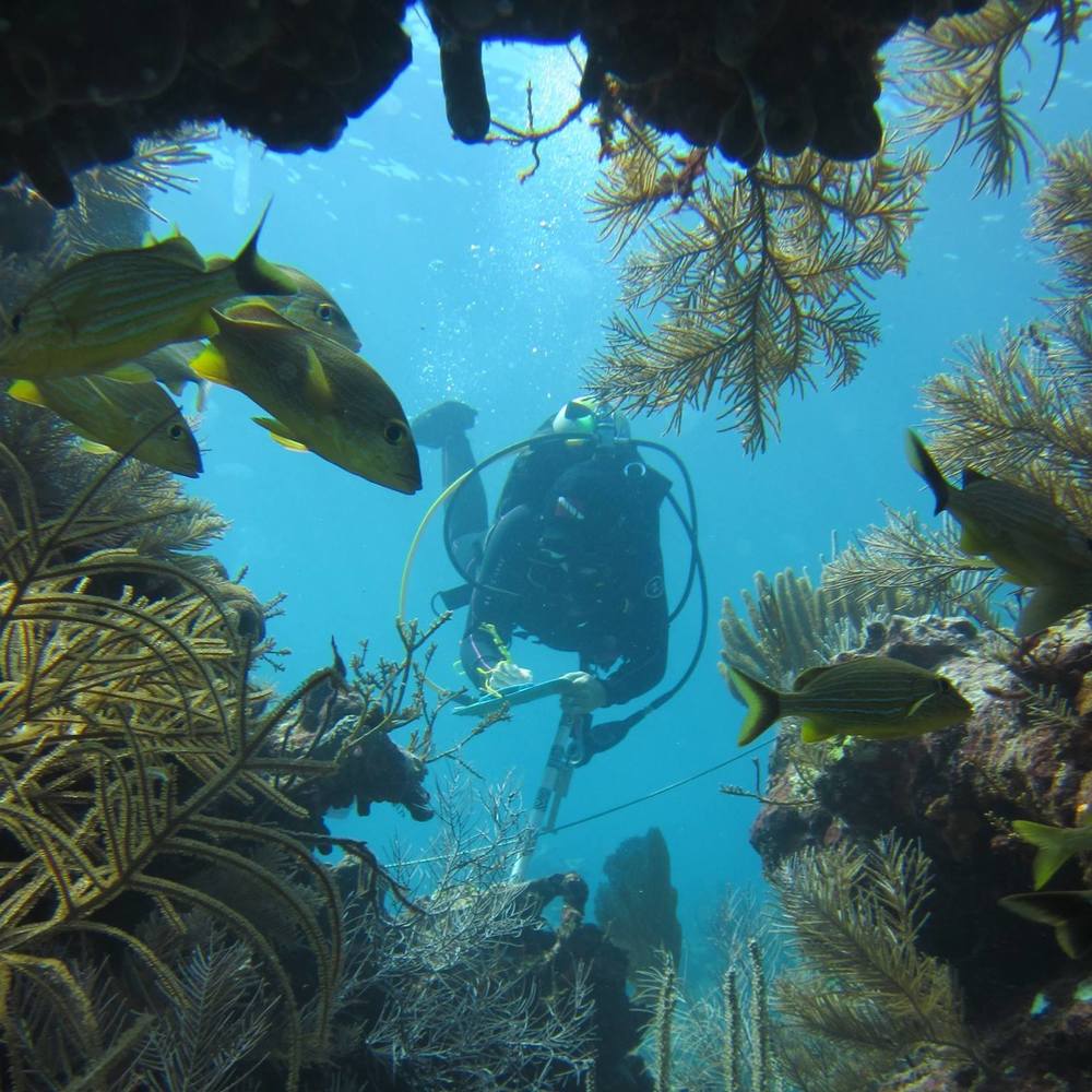 Meet your Posher, Meaghan